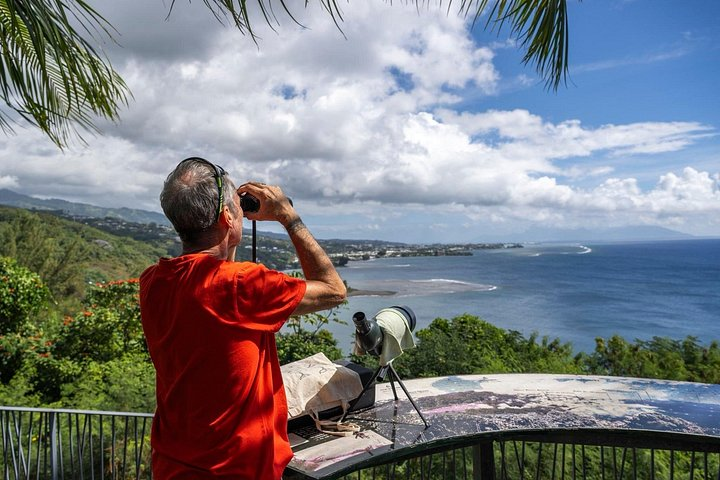 Tour Tahiti in Private - Photo 1 of 24
